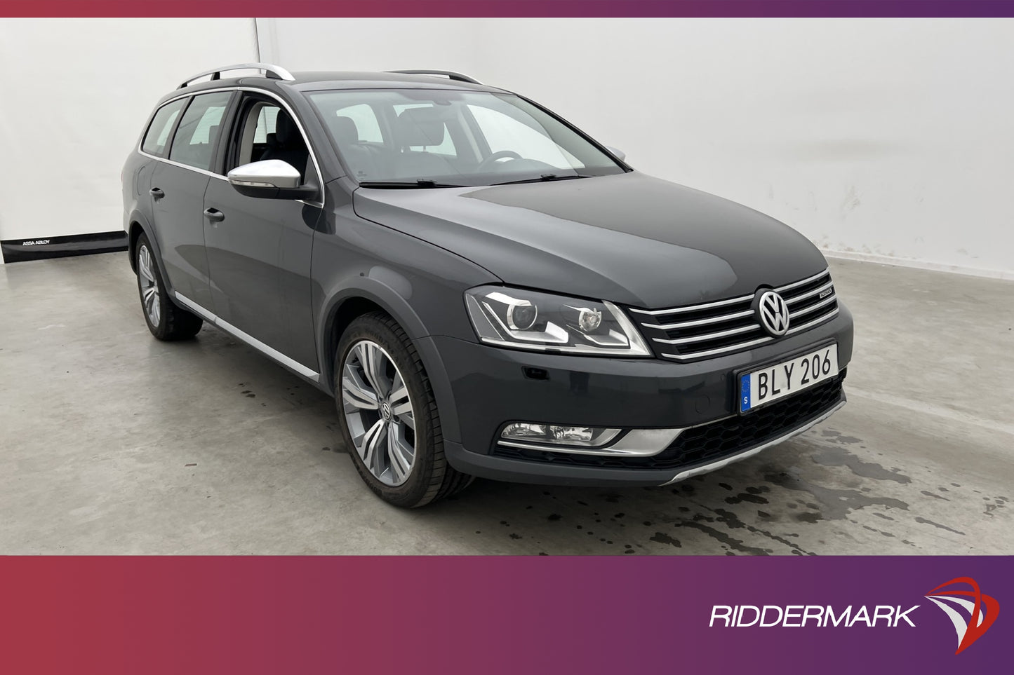 Volkswagen Passat Alltrack TDI 4M Premium Kamera Skinn