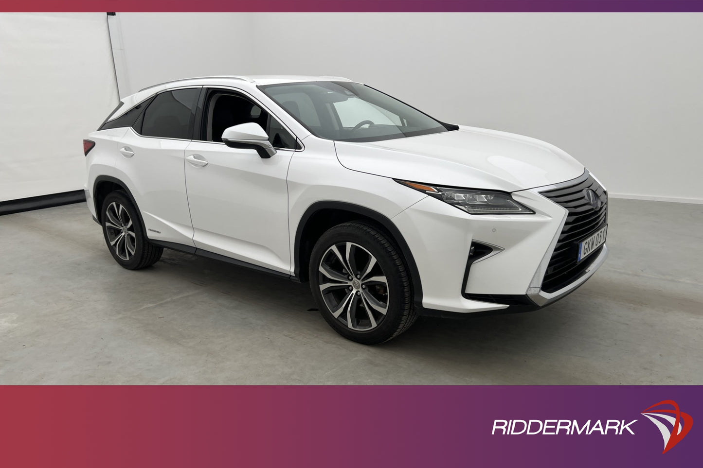 Lexus RX 450h AWD E-CVT Executive Kamera Navi HUD Skinn